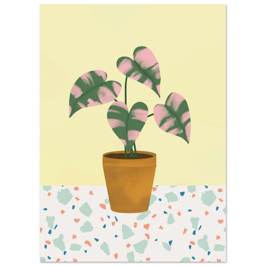 0523f51c-554a-401a-8024-ed67fc1cd43e